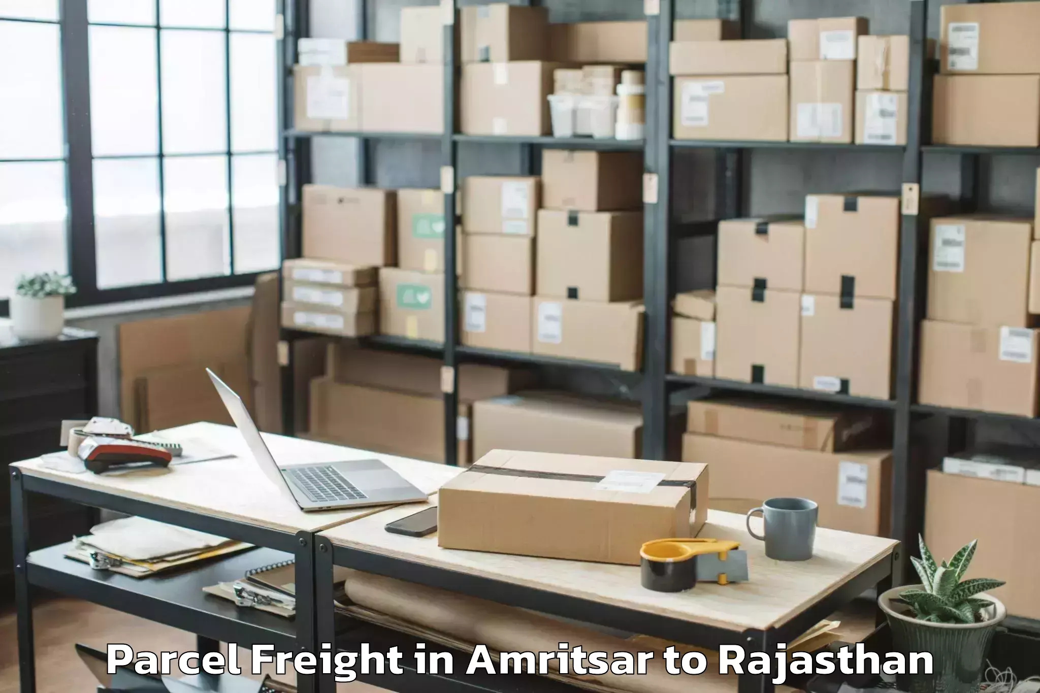 Leading Amritsar to Madhav University Pindwara Parcel Freight Provider